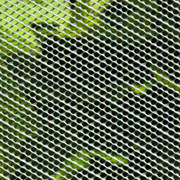 DETAIL5502436