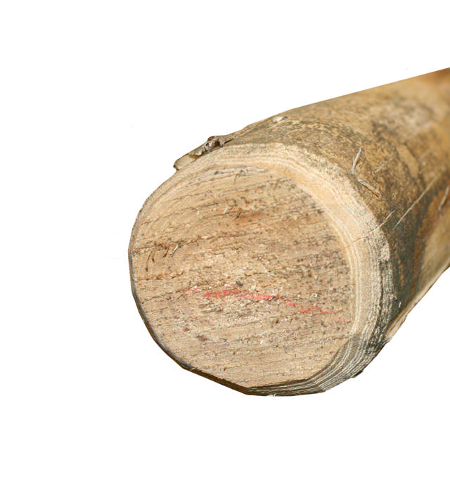 Fence post round, robinia, Ø10/12 cm x L: 250 cm