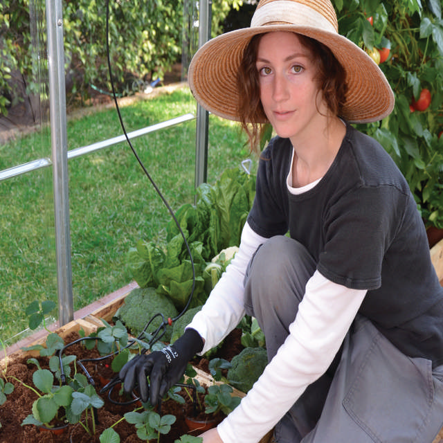 Drip irrigation kit for greenhouse Palram - Canopia