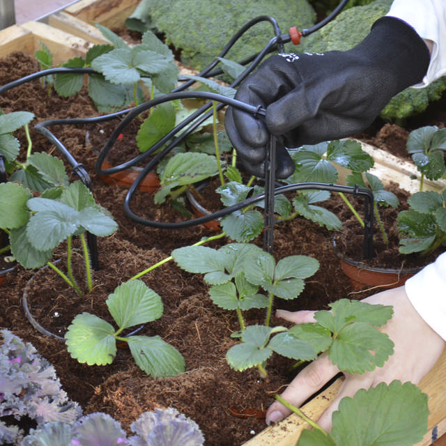 Drip irrigation kit for greenhouse Palram - Canopia