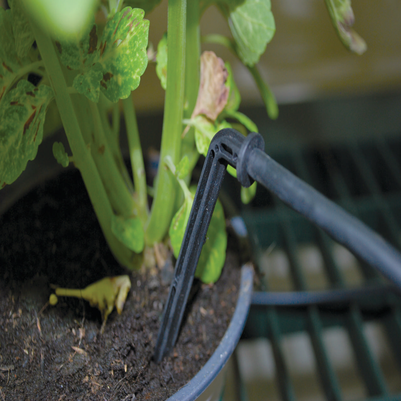 Drip irrigation kit for greenhouse Palram - Canopia