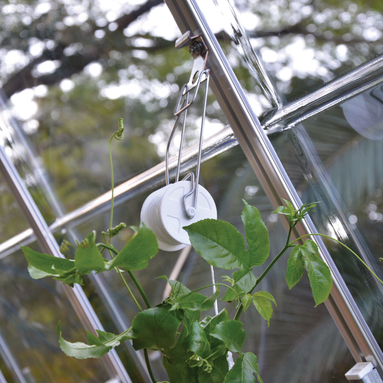Trellising kit Pro for greenhouse Palram - Canopia