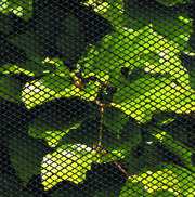 DETAIL5514749