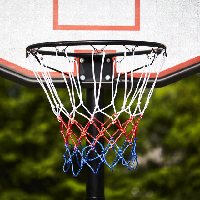 Basketball stand PRO NORDIC Games