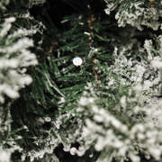 DETAIL5521249