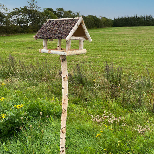 Bird feeder in birchwood with stand. Brushed roof.