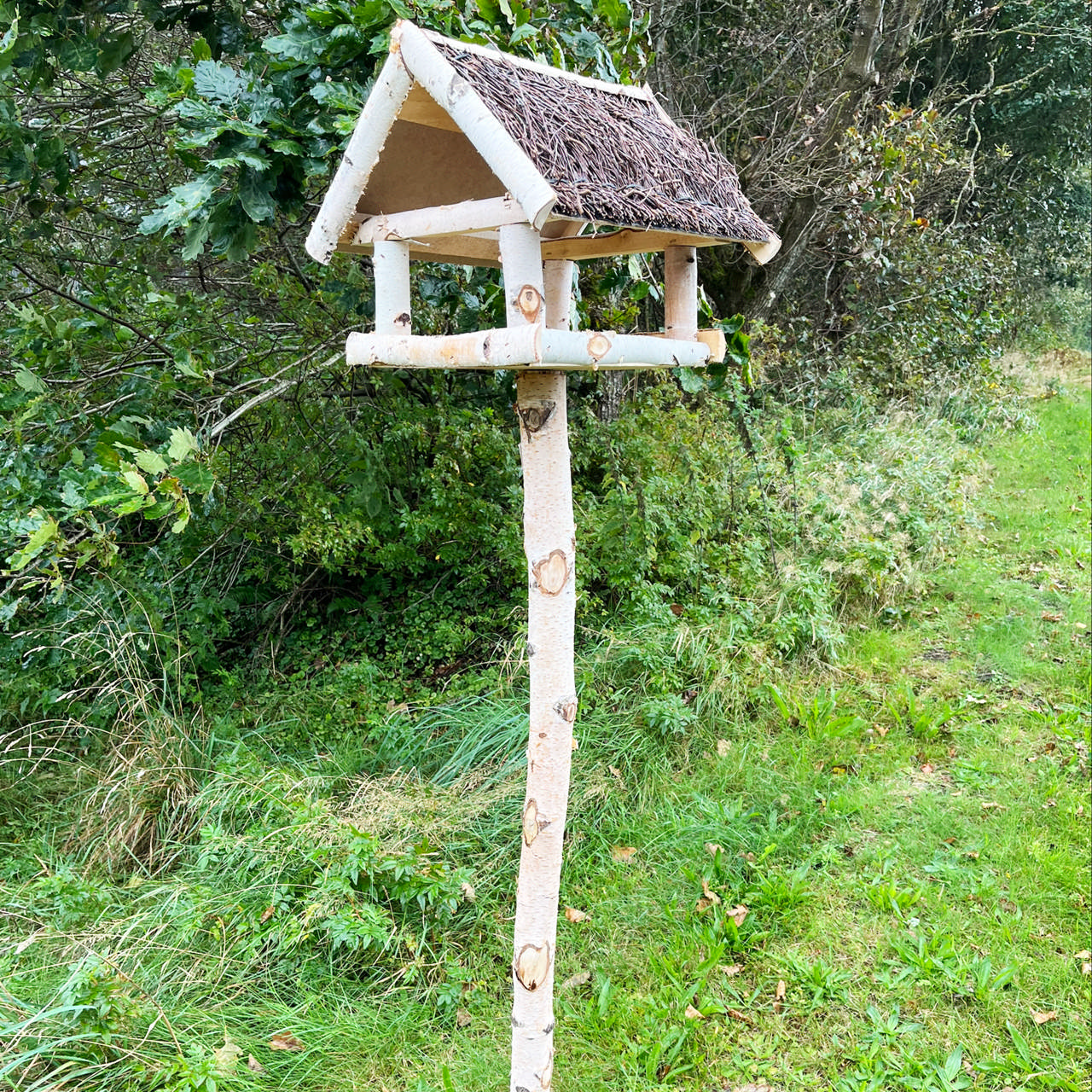 Bird feeder in birchwood with stand. Brushed roof.