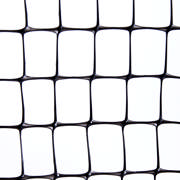 DETAIL5532292