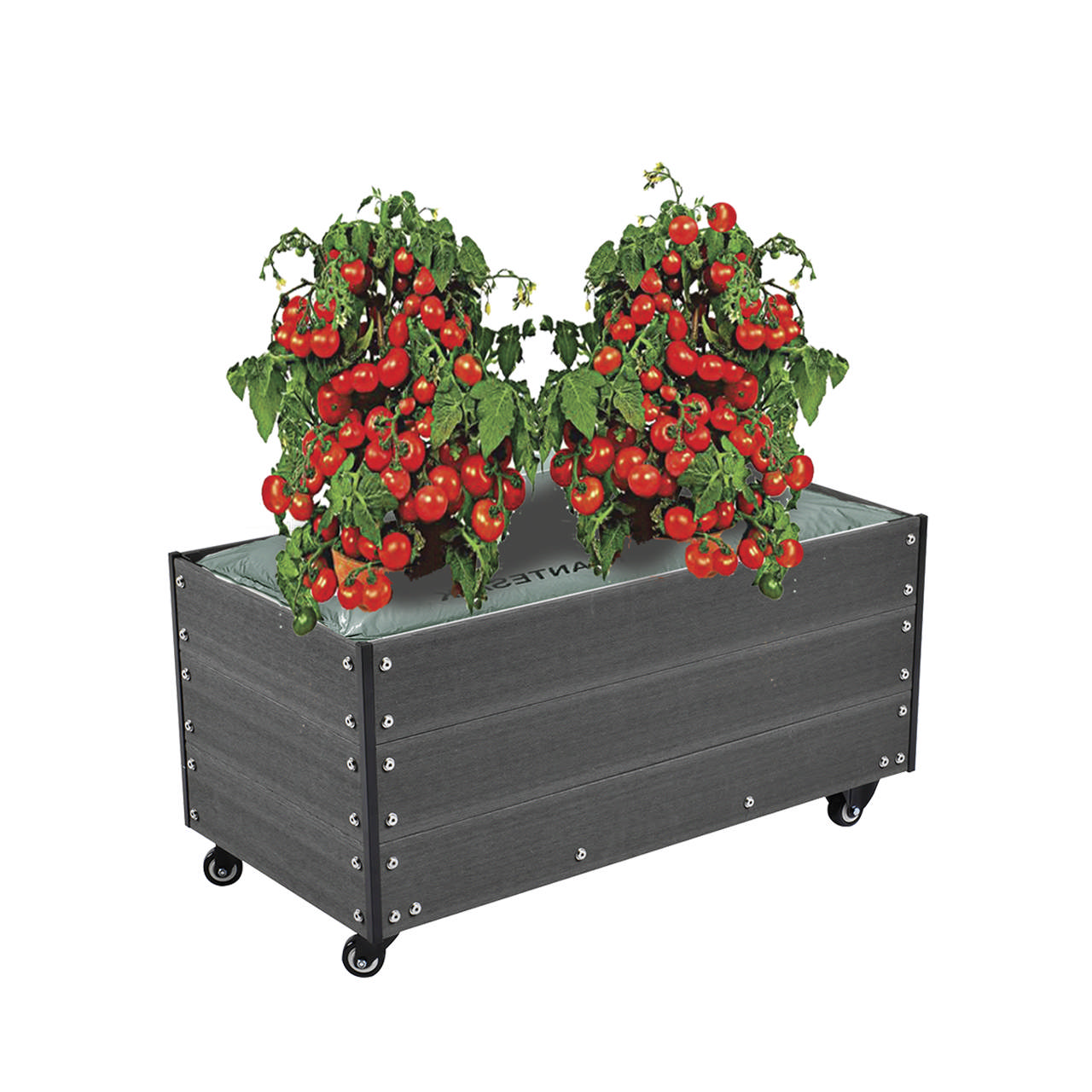 Capillary cover incl. wheels, WPC 36 x 50 x 90 cm HORTUS