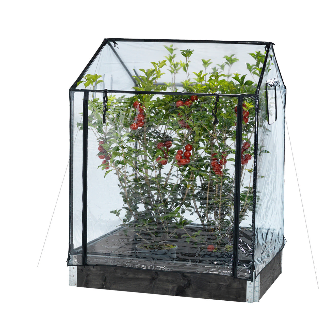 Greenhouse tall 110/130 x 115 x 76 cm HORTUS