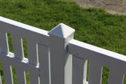 DETAIL5498569