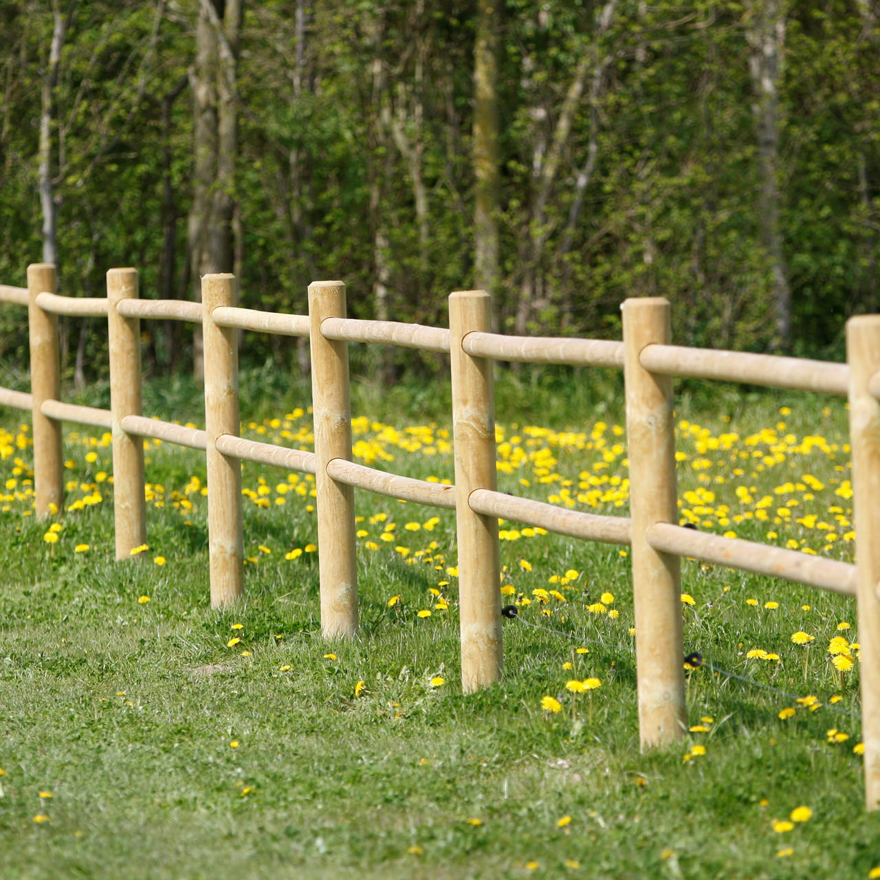 Horse fence 40 m
