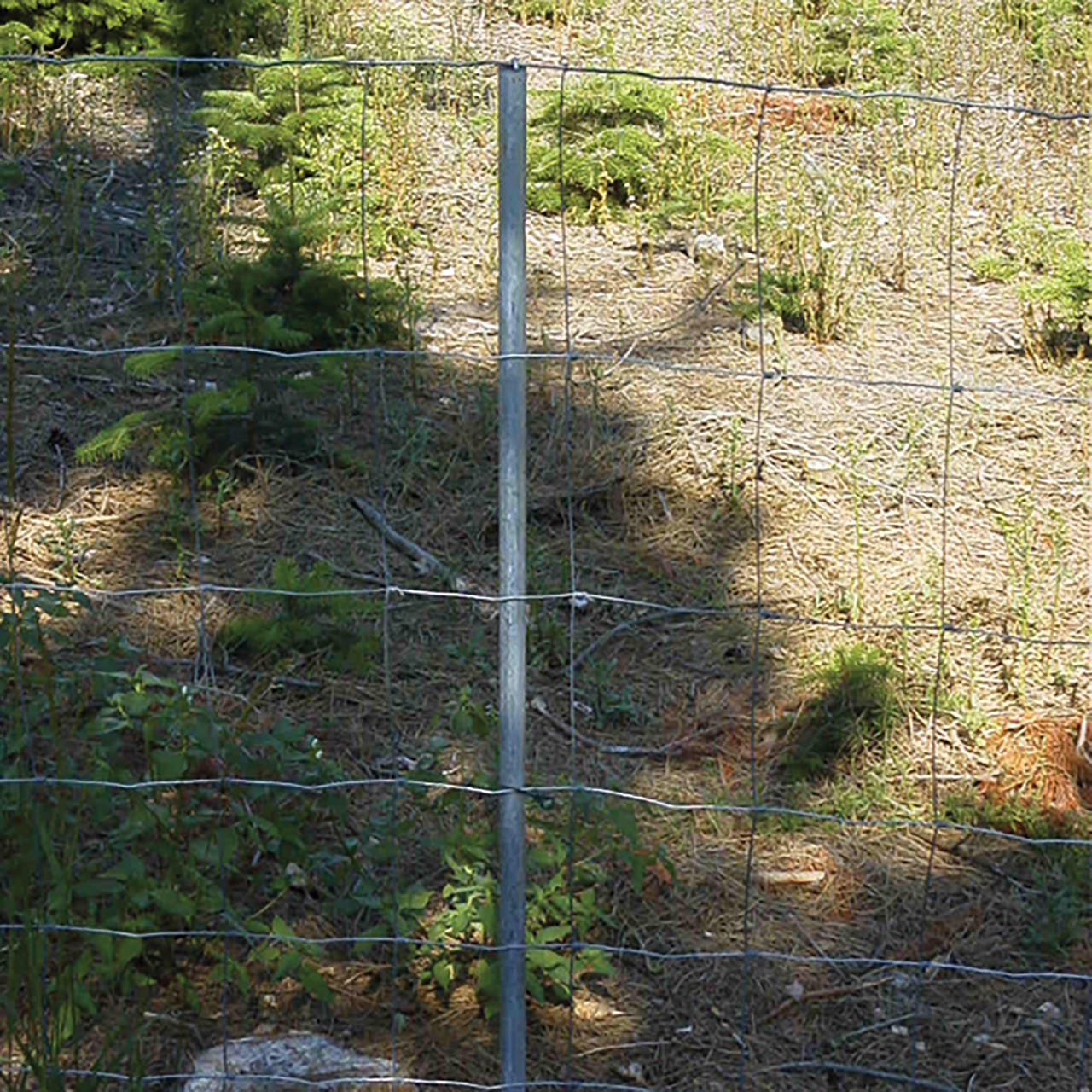 galvanised fence post 200 cm