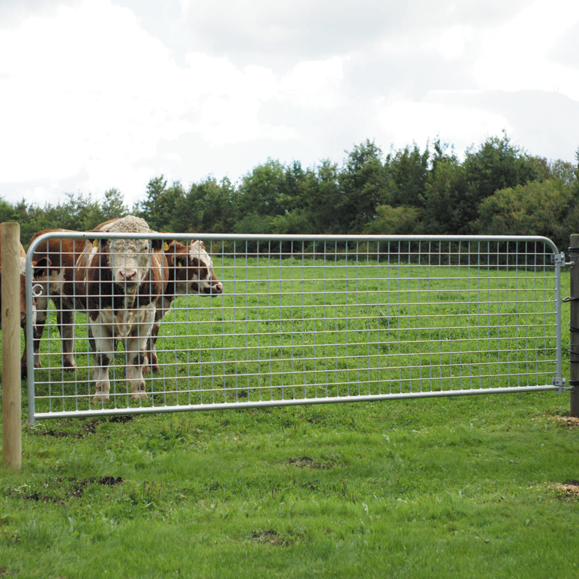Farm gate, mesh 100 x 362 cm NORDIC FENCE