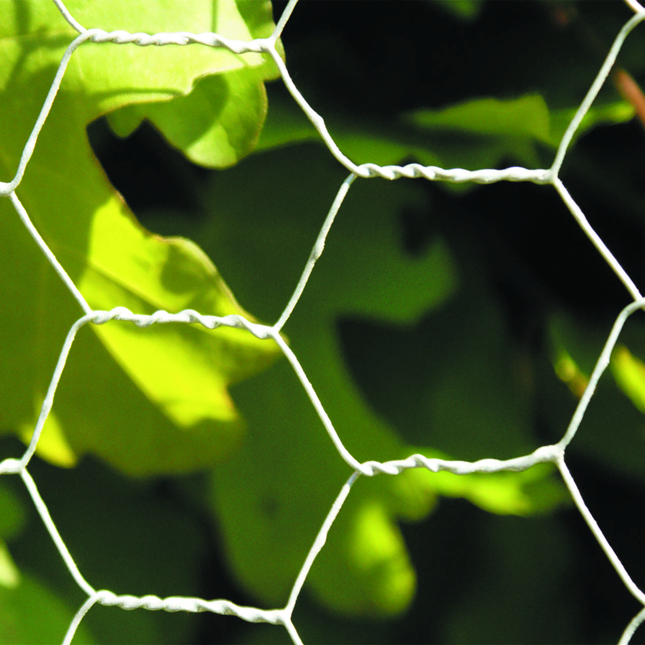 Chicken wire galvanised 25x1500 mm, 30 m