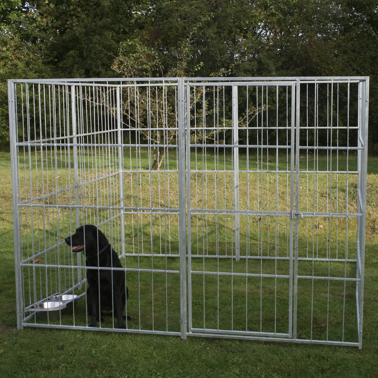 Dog yard medium model