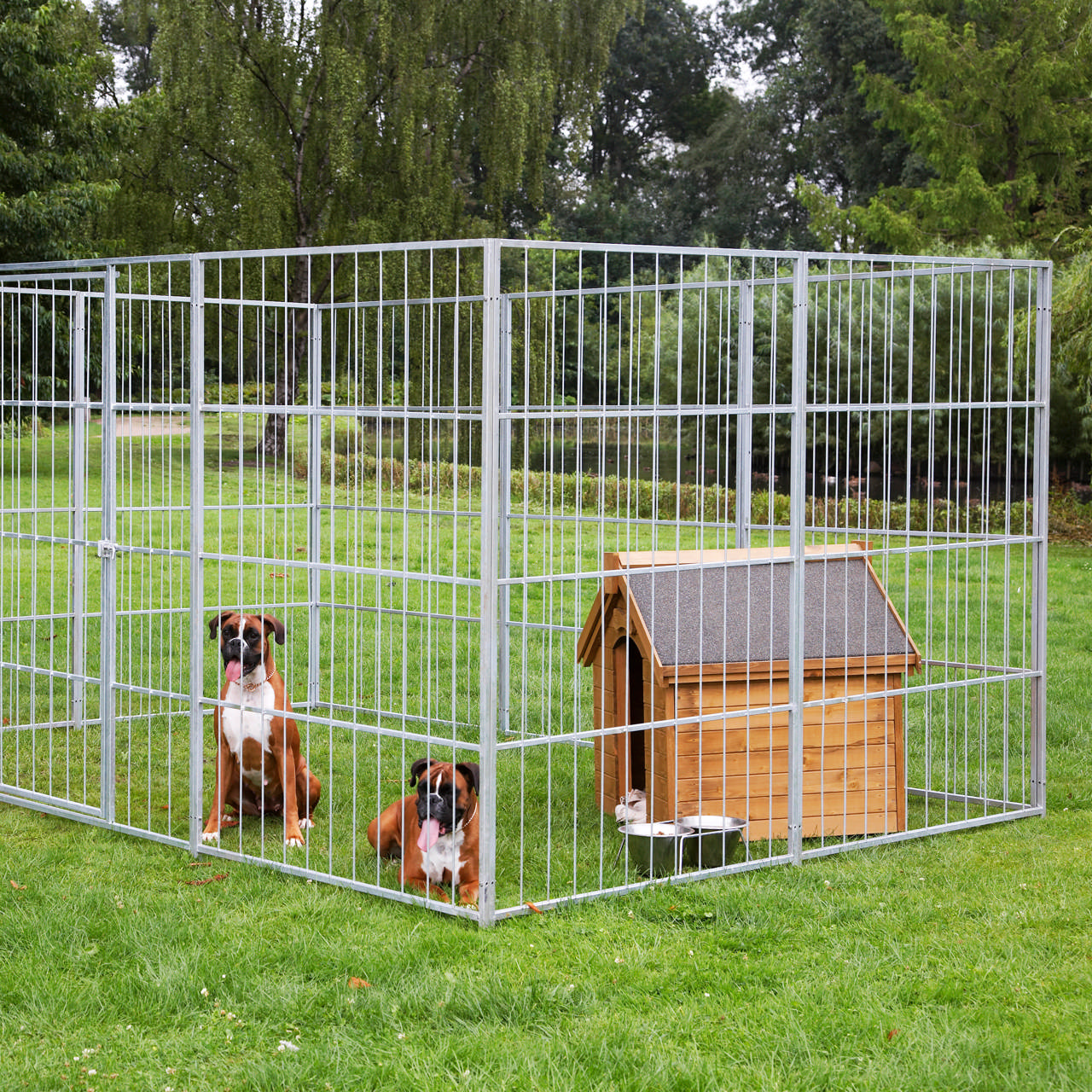Dog yard large model