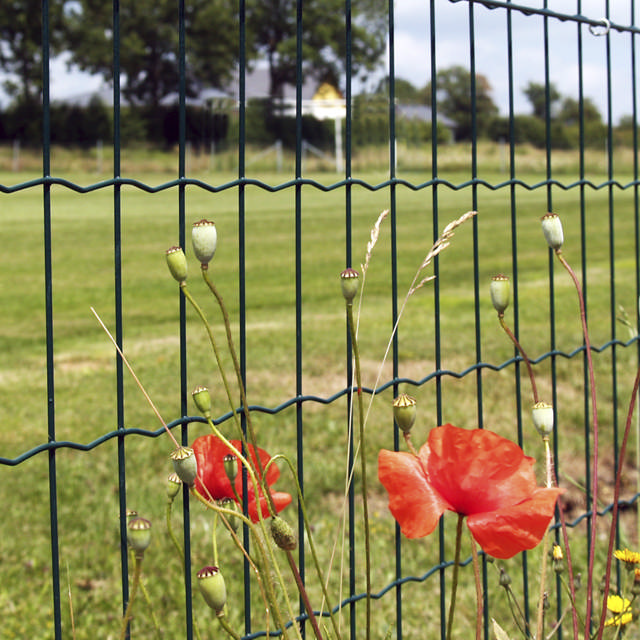 Garden fence, mesh 5 x 10 cm, 120 cm x 25 m, black