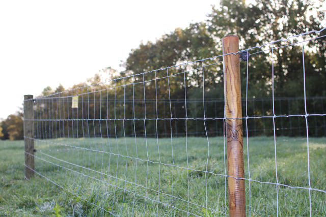 Field fence