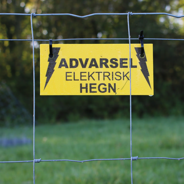Electric fence