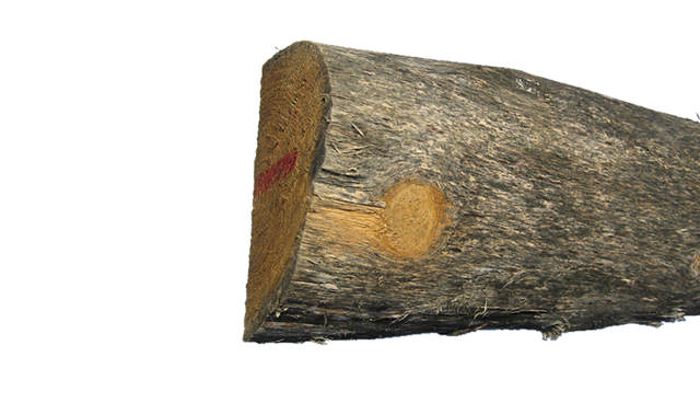 Robinia ½ round