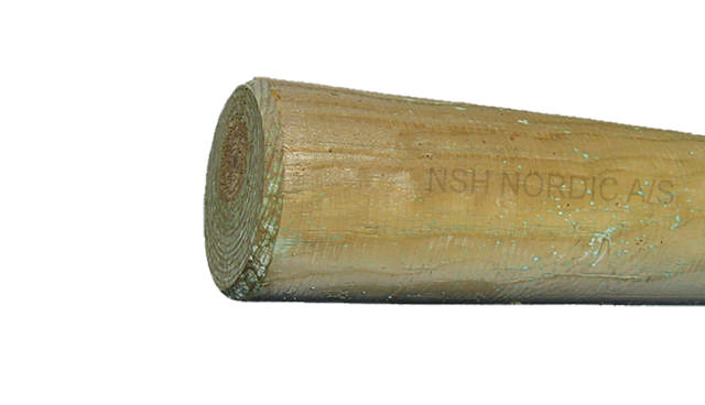 Fence posts round NTR-A