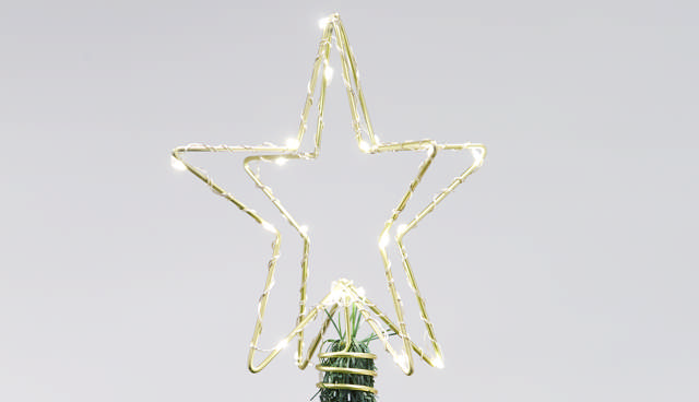 Christmas star
