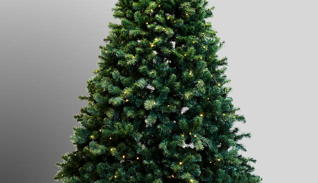 Christmas tree with lights