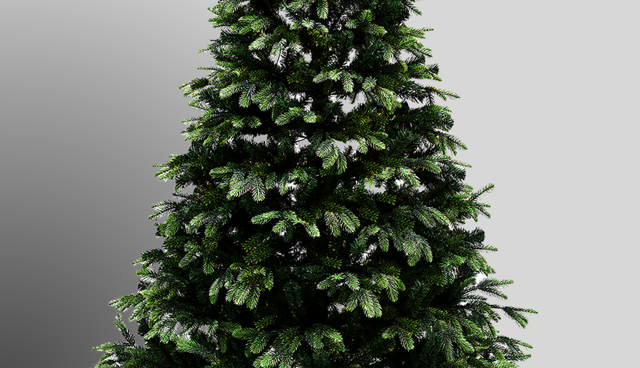 Christmas tree without lights