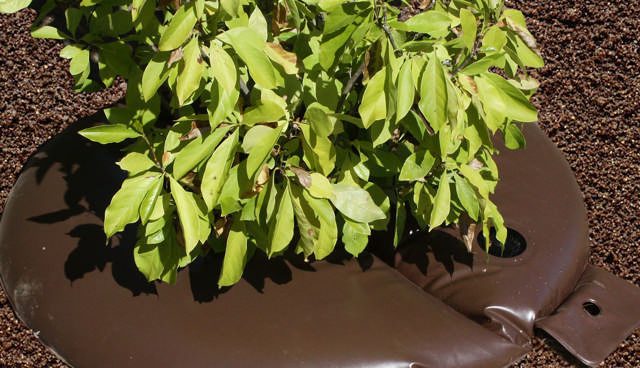 Irrigation
