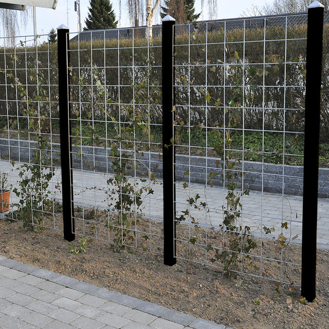 Espalier