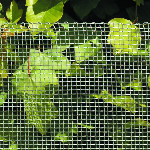 Woven mesh