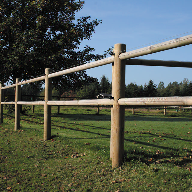 Dallas horses fence