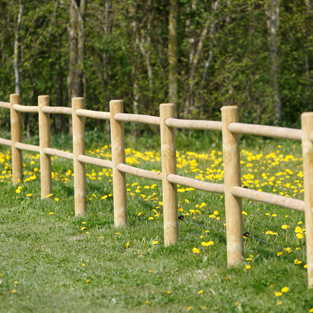 Horse fence