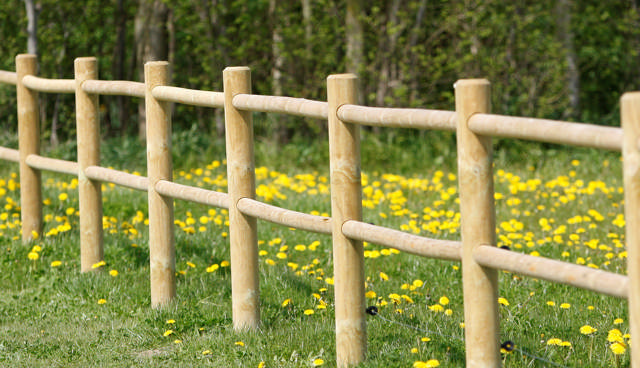 Horse fence